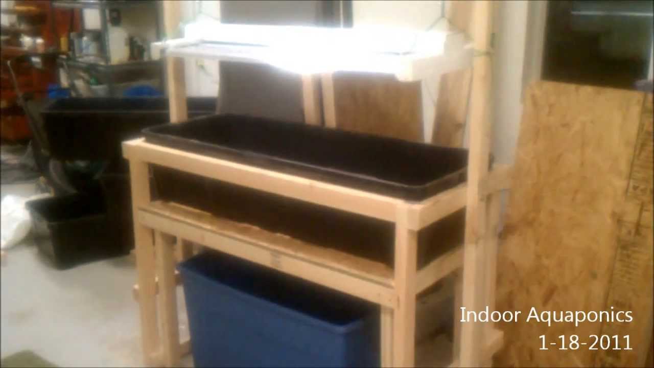 Indoor Aquaponics fish tank and grow beds - YouTube