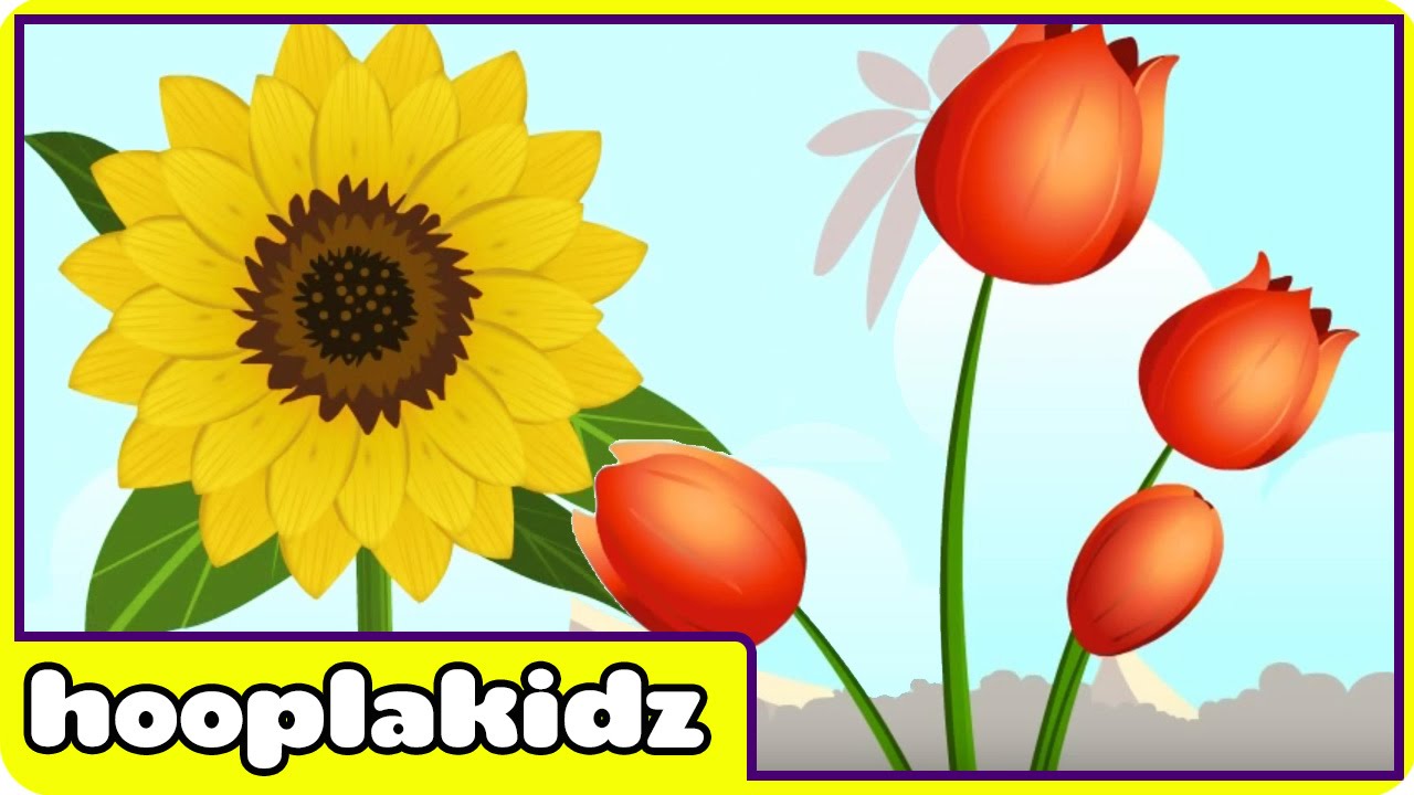 Learn About Flowers 2 Preschool Activity YouTube