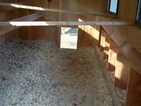 Amish Chicken Coop Video Tour: 28 Egg-Laying Chickens