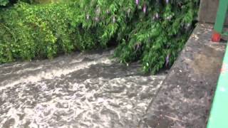 Flash Flooding Tolka River - 25th July!