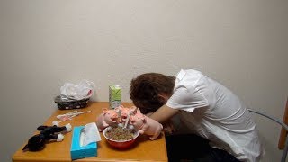 すき家の裏メニュー牛丼キングをもやし男が食う part2