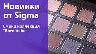 Обзор новой коллекции косметики от Sigma - Born to be (тени, блески, карандаши, румяна, консилер)