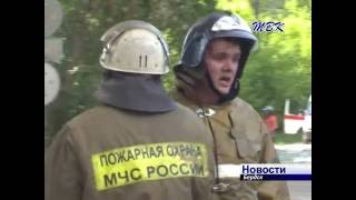 От загоревшегося тополиного пуха в центре Бердска чуть не пострадало кафе с посетителями.