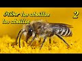 AIDER LES ABEILLES 2. HD