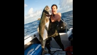 How good is Spearfishing in NZ? Feat. a Shark Cameo and 30kg+ Kingfish tangled in rocks