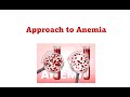 Approach to anemia in pediatrics Dr Mai Abdelsalam Lecturer of pediatrics Cairo university