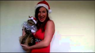 our Cat Site Commercial That Was A Fail, But Still Funny