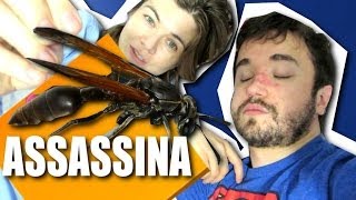 TEM UM MONSTRO NA COZINHA!  - Ep. 67