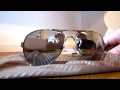 Oakley Plaintiff Unboxing
