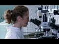 Fecundacion in vitro (Parte 1) - Salud de la Mujer Dexeus