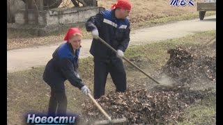 Работники НовЭЗа провели субботник в новом формате