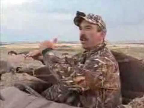 Goosehunt.ru - охота в поле