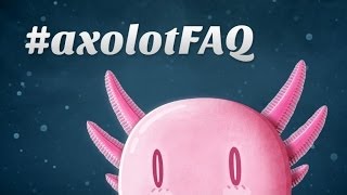 Axolot : La FAQ d'anniversaire