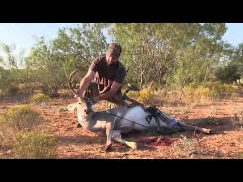 buck with bow in texas txconnection outdoors 2012 deer season ep 1