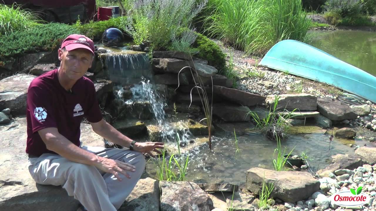 Gardening Tip: Water Feature Ideas for Your Garden - YouTube