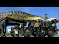Amazing Giant Snake Found and Captured in The Red Sea #1