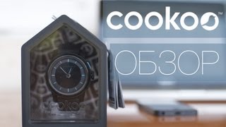 Обзор Cookoo Watch