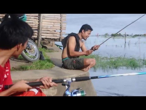 stupid fishing, crazy angler