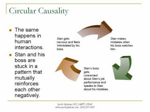 what is circular causality in psychology