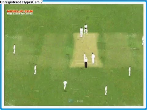 cricket defend the wicket