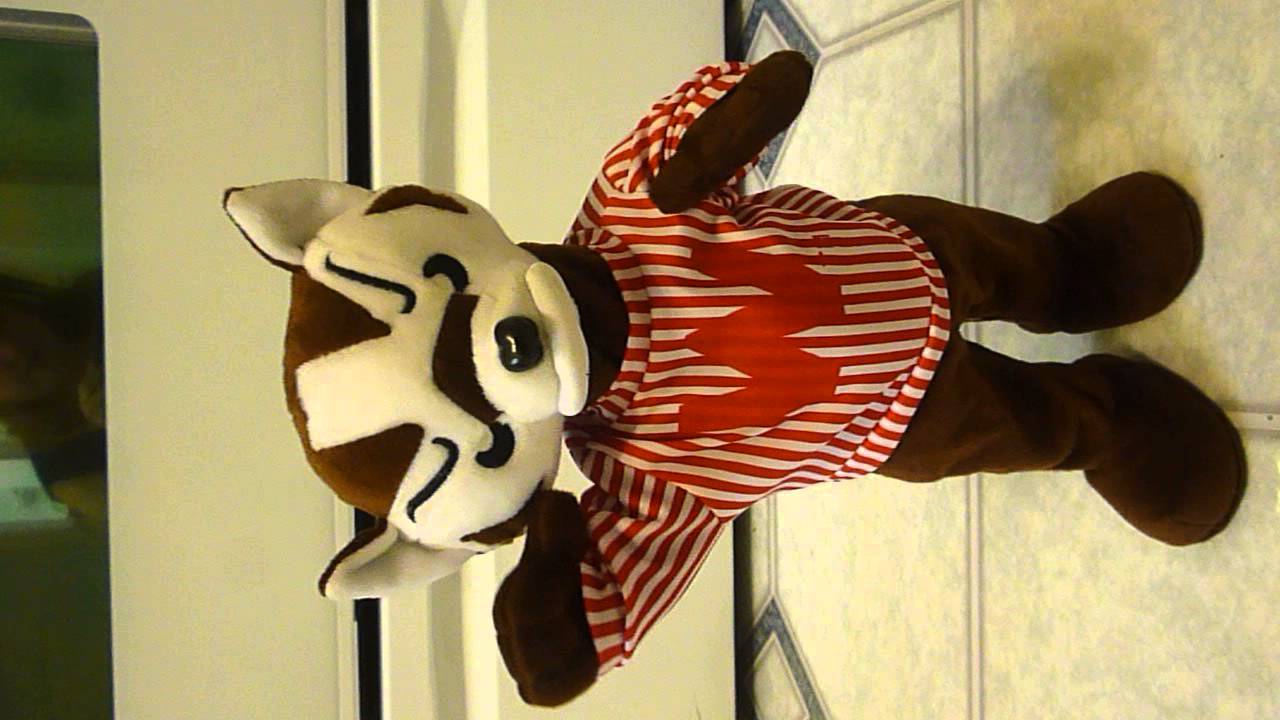 bucky the badger stuffed animal