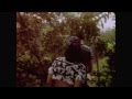 Under the Indigo Moon (ft. Beck)