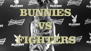 Bunny vs Fighters