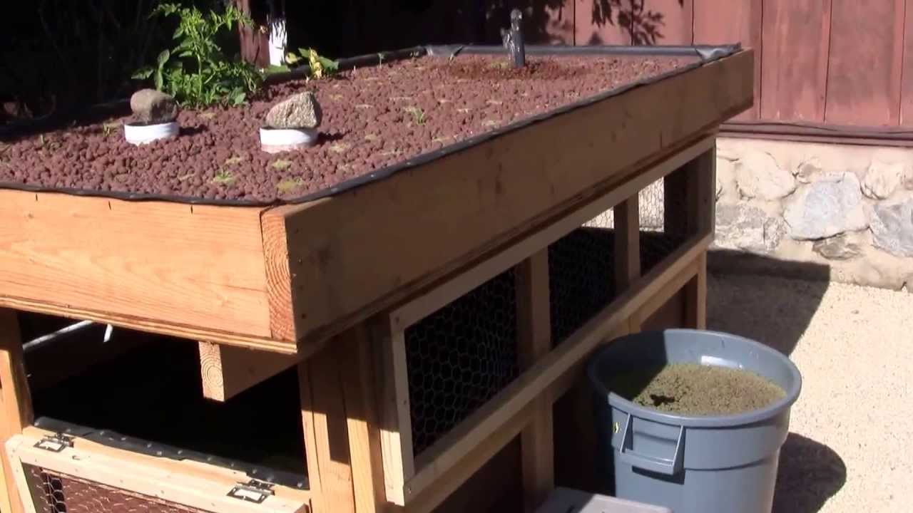 Aquaponics two-tiered back yard gardening and fish farming system made ...