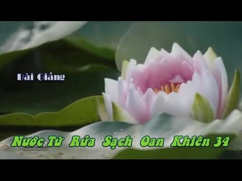 Nước Từ Rửa Sạch Oan Khiên (Kỳ 34)