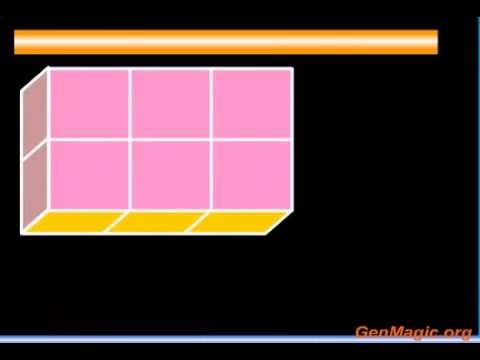 El Vídeo de los Números Decimales