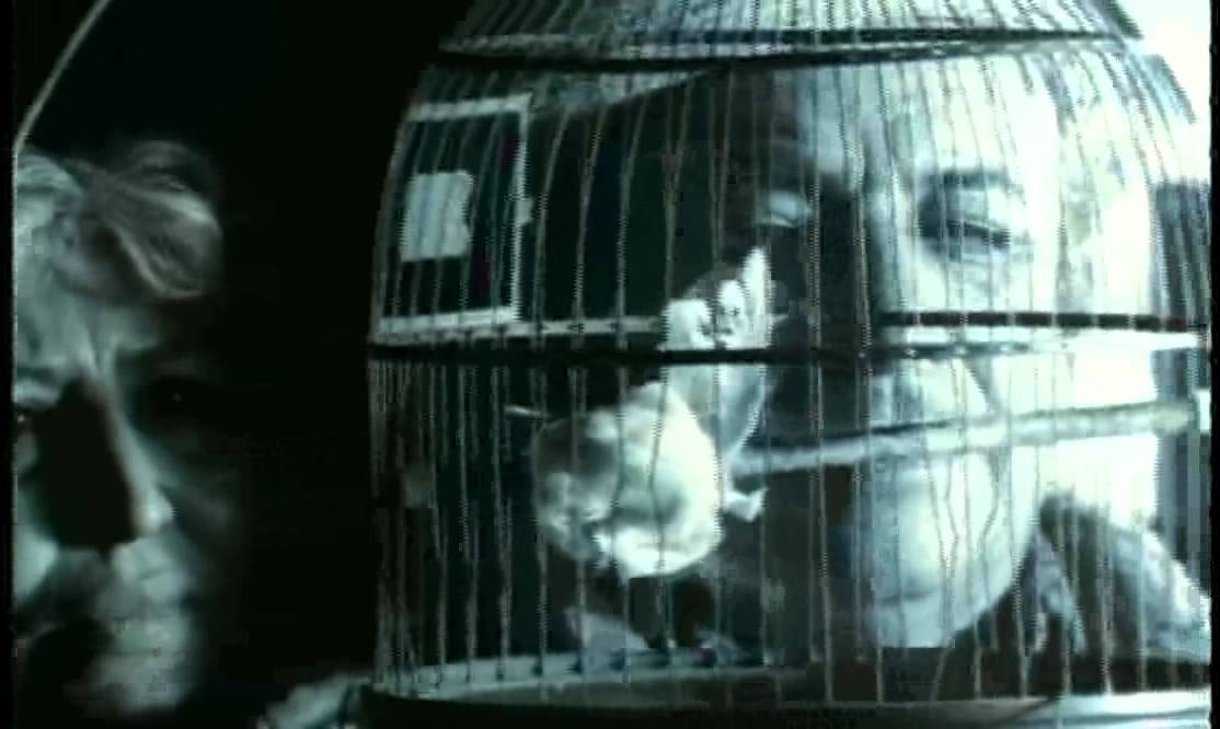 Robert Plant.29 Palms.Official video YouTube