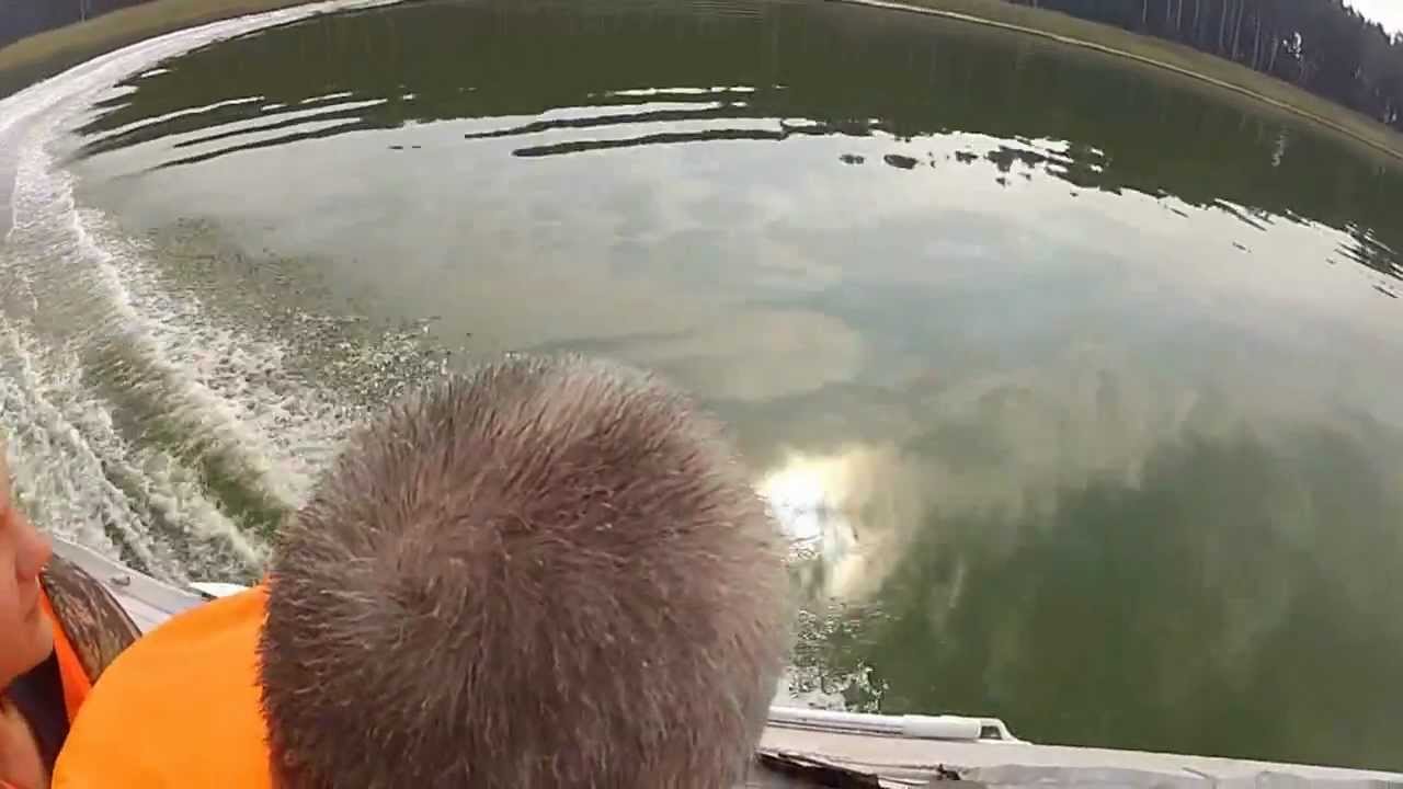 Дедов морозов москва