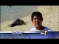 Hawaii zoo educators vie for Wild Kingdom web series
