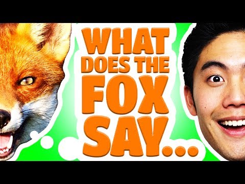 Dear Ryan - What Does The Fox Say?