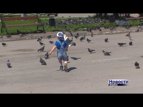 Очереди в дошкольные учреждения: в Бердске неразбериха из-за льгот для детей солдат-срочников