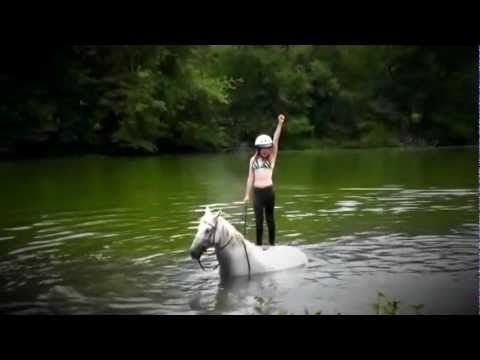 Swimming With Horses -- Summer 2012