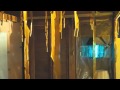 Bug 2006 Official Trailer
