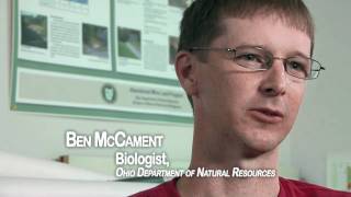 How To Become An Aquatic Biologist How To Become An Aquatic Biologist