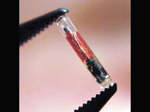 NORTH AMERICAN UNION & RFID Chip TRUTH! Must SEE 0 Hackers Steal Your Credit Card Information