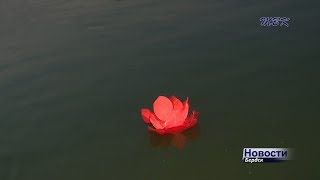 Сотни бердчан запустили водные фонарики в море «желаний»