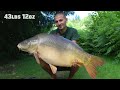 Carp fishing 64lbs 14oz mirror carp tops 30 fish haul from mirror pool France