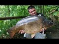 Carp fishing 64lbs 14oz mirror carp tops 30 fish haul from mirror pool France