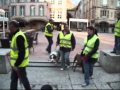 cynolor obéissance N°4 urbain epinal
