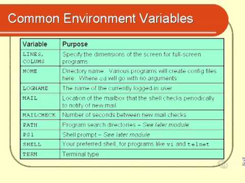 VTC Player Unix Shell Fundamentals, Environment Variables Pt 2