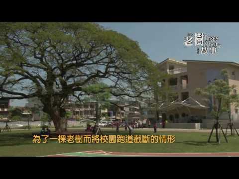 高雄市8棵百年老樹故事-雨豆樹(影片長度:3分22秒) 高雄市8棵百年老樹故事-雨豆樹(影片長度:3分22秒)