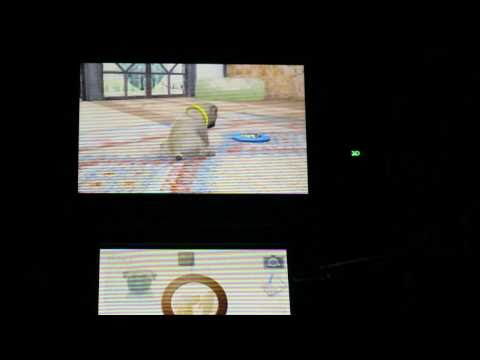 nintendogs + cats - Stores, Buying Cats and More Toys etc