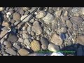 Spin fishing in New Zealand..July sea run action
