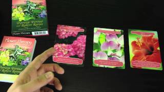 Flower Therapy Oracle Card Reading 15th - 21st July 2013