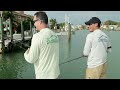 RTFS - Inshore Grouper Flippin'