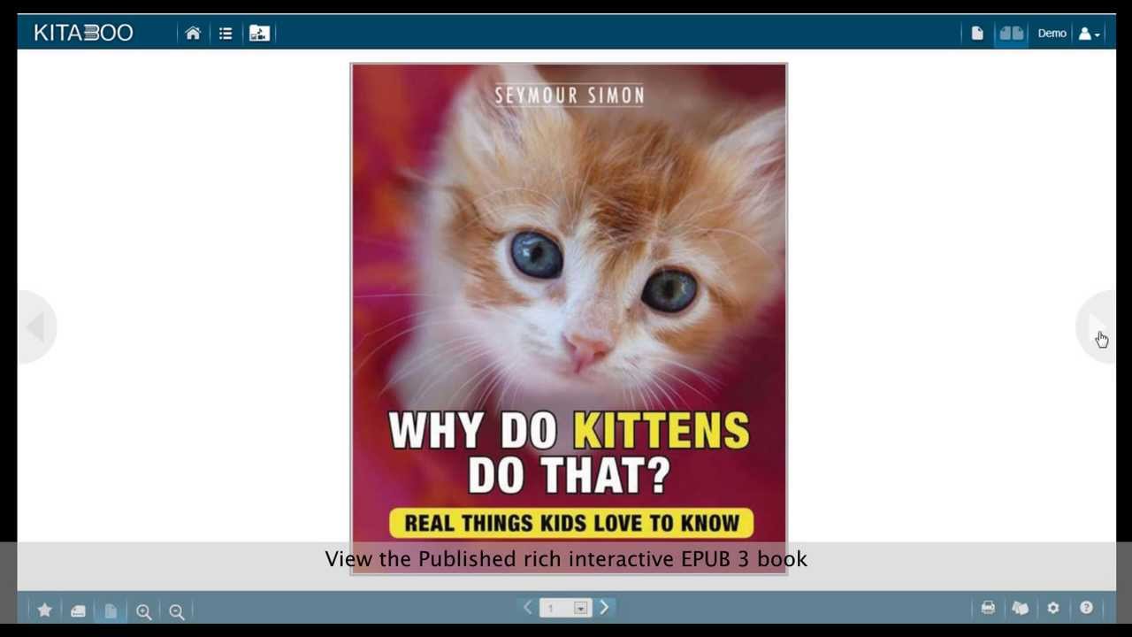 PDF HTML5 EPUB3 MOBI KF8 Automatic Conversion on KITABOO Cloud ...